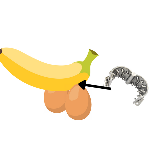 Medieval Stainless Steel Chastity Cuckold Device Male SPIKE Cage 中世纪不锈钢带刺贞操男用 BDSM 1504