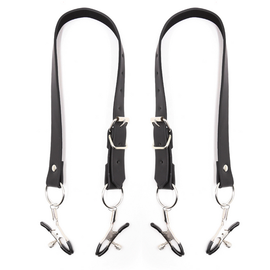 Pussy clamps 私处夹 BDSM 1555