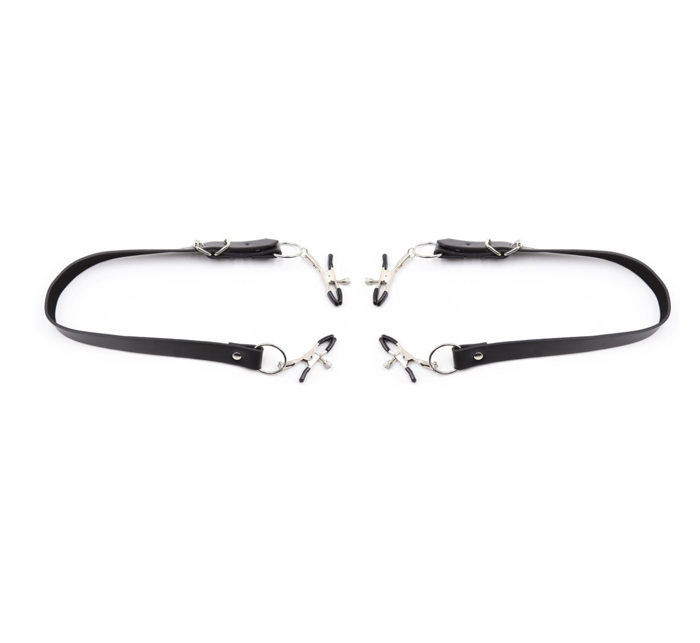 Pussy clamps 私处夹 BDSM 1555