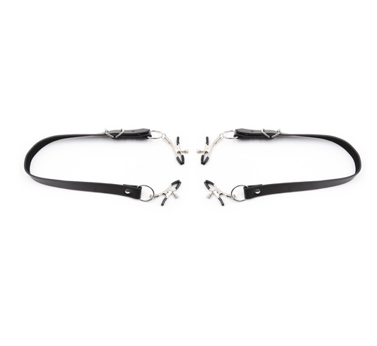 Pussy clamps 私处夹 BDSM 1555