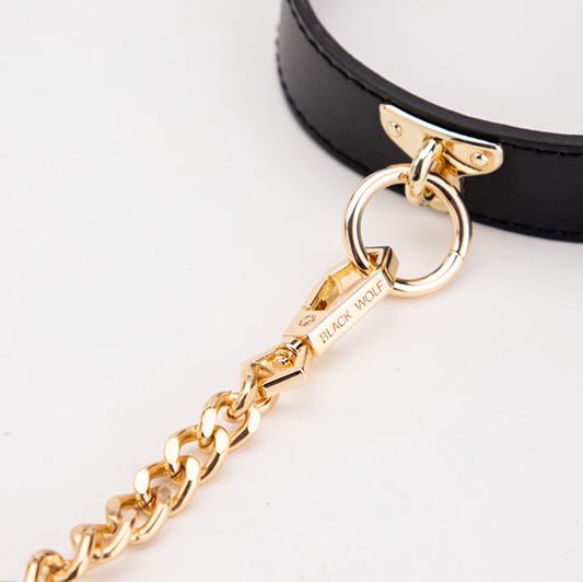 Collar/Choker with leash V2 颈圈情趣BDSM V2 脖套+牵引 1691