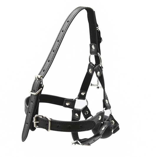 Face Mask with Ball Gag V6 皮革面具x口塞 V6 BDSM 1696