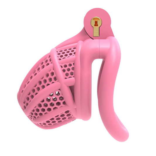 Bee-Have Chastity cuckold device male cage 3D Print 蜂巢贞操男用 BDSM 1706