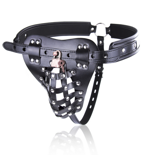 Chastity Cage Panties V3 贞操内裤 BDSM V3 1722