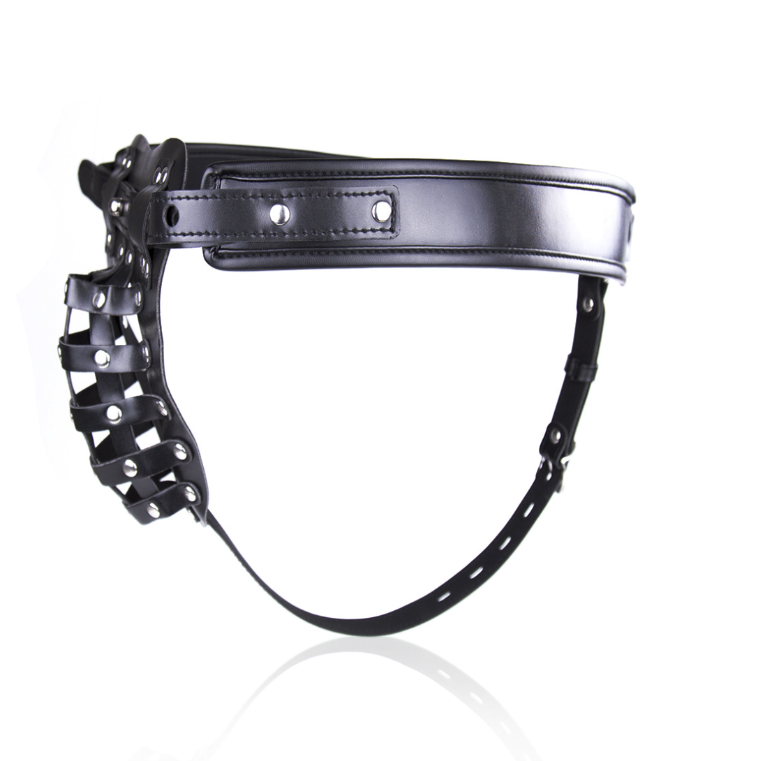 Chastity Cage Panties V3 (Exclude Dildo) 贞操内裤 BDSM V3 1722