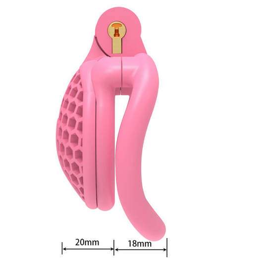 Bee-Have V2 Chastity cuckold device male cage 3D Print 蜂巢贞操男用 BDSM V2 2046