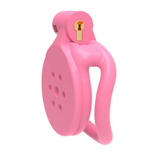 Flat Earth Chastity Cuckold Device Male Cage 3D Print 地平贞操男用 BDSM  2044