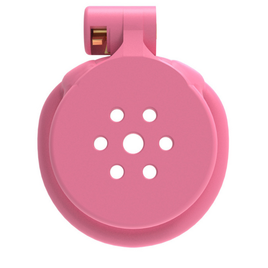 Flat Earth Chastity Cuckold Device Male Cage 3D Print 地平贞操男用 BDSM  2044