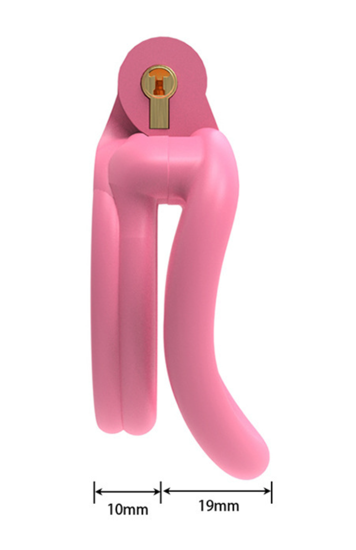 Flat Earth Chastity Cuckold Device Male Cage 3D Print 地平贞操男用 BDSM 2044