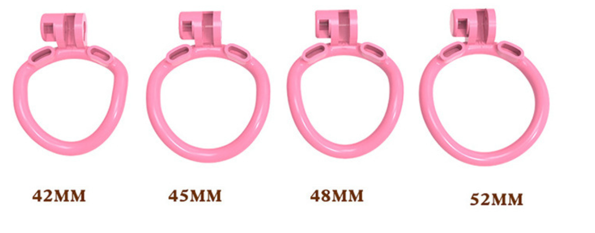 Flat Earth Chastity Cuckold Device Male Cage 3D Print 地平贞操男用 BDSM  2044