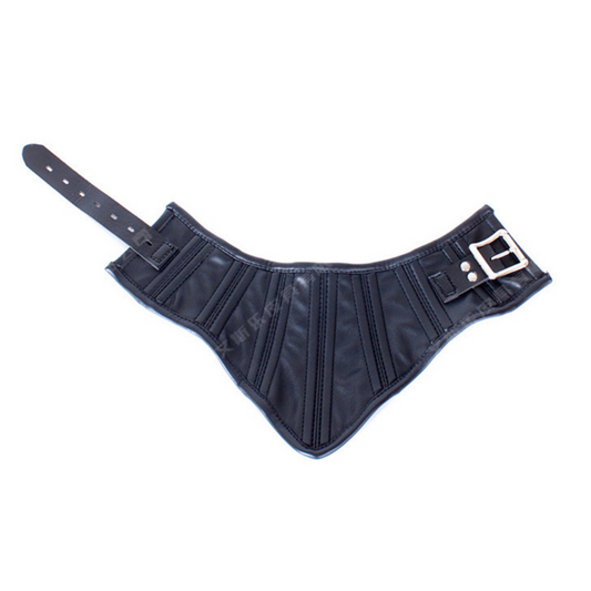Posture Collar BDSM 皮革颈圈 BDSM 2137