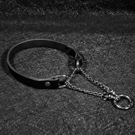 Just a choker/collar BDSM 简易项圈 2206