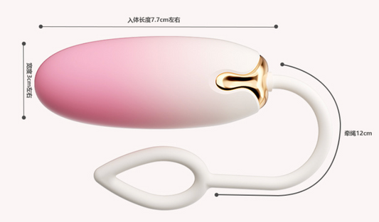 Vibrator Remote Control V6 子弹跳蛋遥控 V6 2268