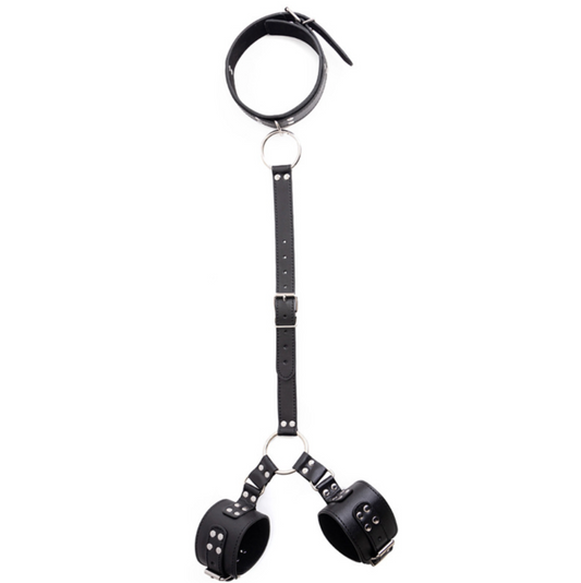 Bondage & Restraint V21 束缚带 V21 BDSM 2373