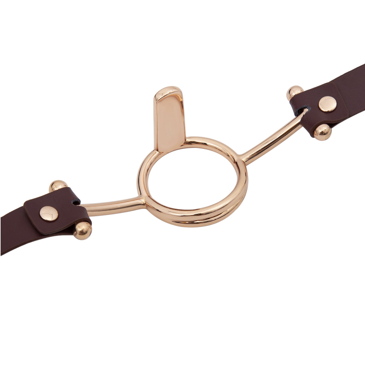 Mouth Opener Gag V3 强制开嘴 V3 BDSM 2261