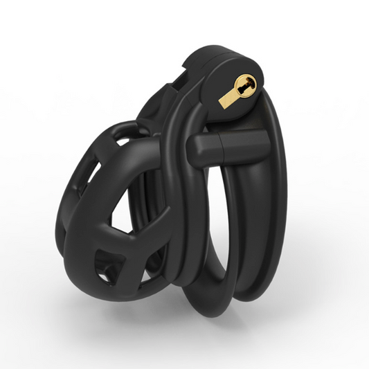 Chastity Cuckold Male Cage 3D Print Plus 6.0 贞操男用 BDSM Plus 6.0 1384