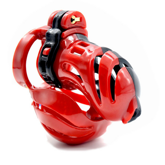 A390 Chastity cuckold device male cage 3D Print 贞操男用 BDSM 1407