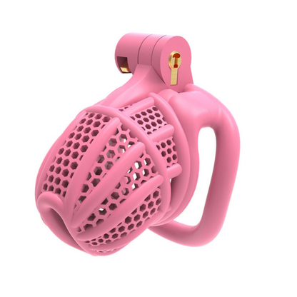 Bee-Have Chastity cuckold device male cage 3D Print BDSM  蜂巢贞操男用 BDSM  1706