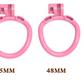 Flat Earth Chastity Cuckold Device Male Cage 3D Print 地平贞操男用 BDSM  2044