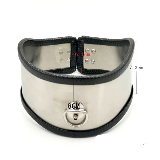 Stainless Steel Collar/choker v5 不锈钢情趣脖套BDSM v5 2218