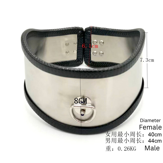 Stainless Steel Collar/choker v5 不锈钢情趣脖套BDSM v5 2218