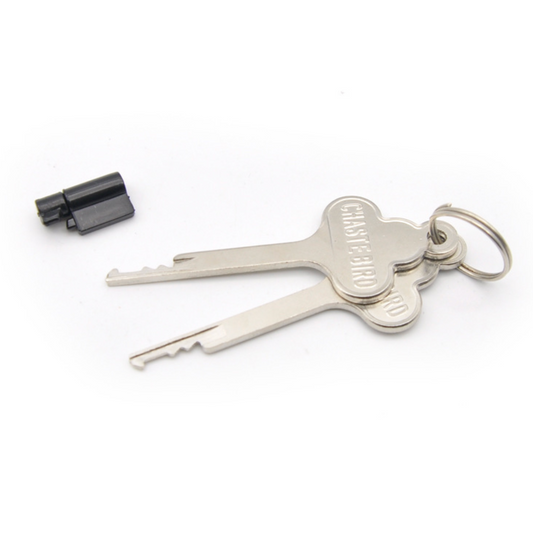 Keys for Chastity Cuckold Male cage 贞操鸟笼一次性/多次钥匙 BDSM 2248