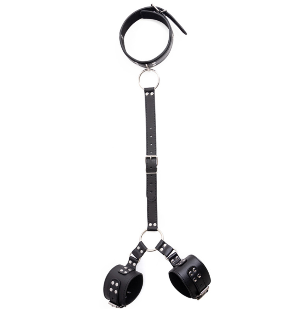 Bondage & Restraint V21 束缚带 V21 BDSM  2373